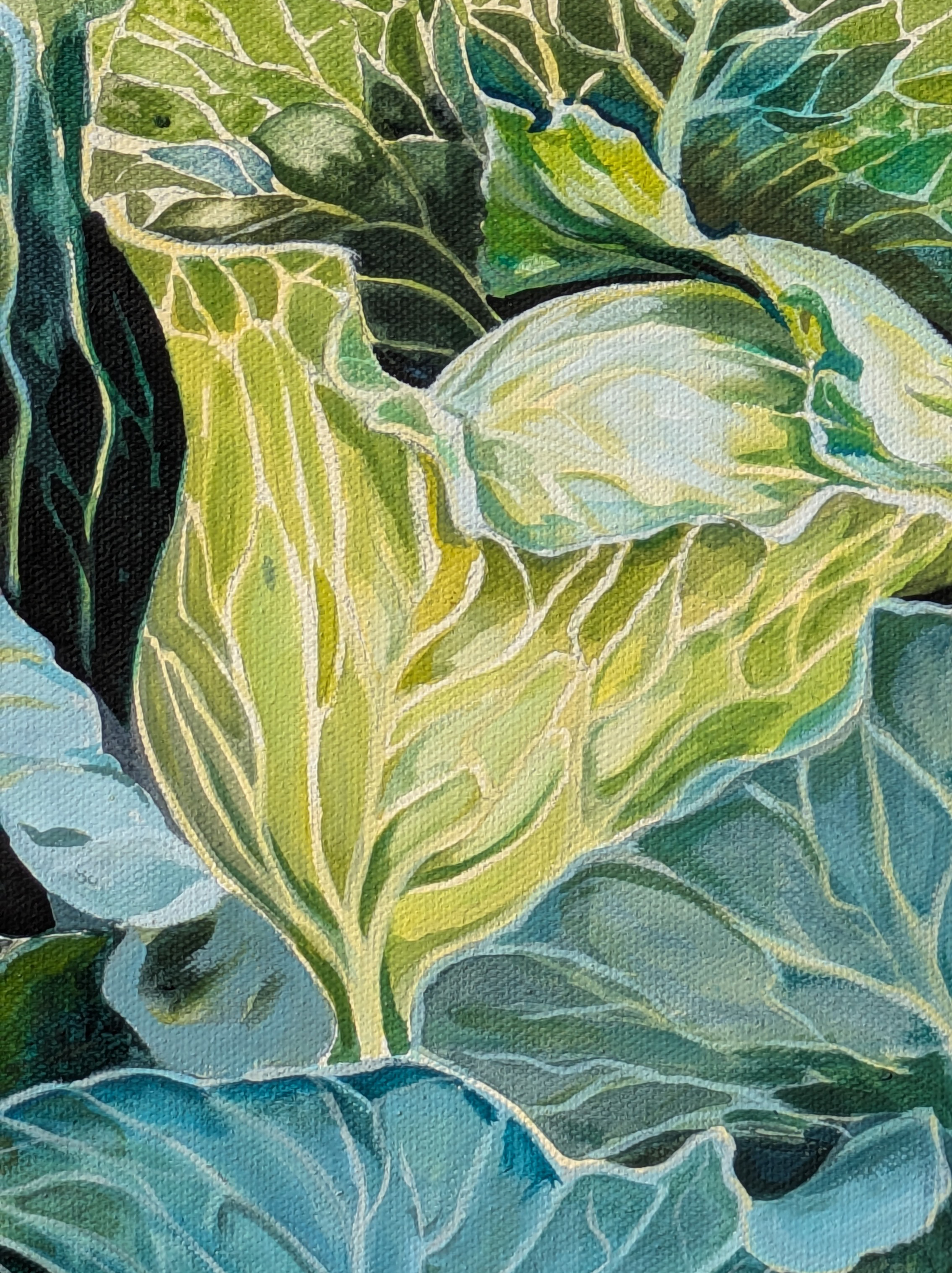 Cabbage Patch — view 2